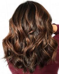 This one is perfect if you are looking for a subtle change. Brown Hair With Auburn Highlights Human Hair Exim