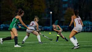 Image result for Ochna hackarsii