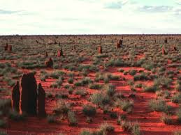We did not find results for: Berapa Banyak Gurun Di Australia Secara Umum Undang Undang Australia Tidak Dapat Dilakukan Hal Utama Untuk Melaporkan Font Kecil Ini