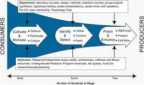 Frontiers | From Consumers To Producers: Three Phases In The Research  Journey With Undergraduates At A Regional University