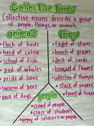 Collective Nouns Anchor Chart For Teaching Grammar