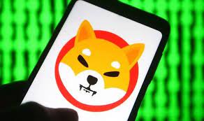 Shiba inu coin price & market data. Shiba Inu Coin Is Shiba Inu Coin Dead City Business Finance Express Co Uk