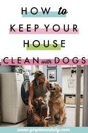 How To Keep A Clean House With Dogs Yes Please Clean House Dog Cleaning Dog Shedding