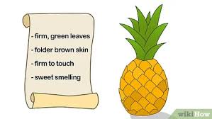 Budidaya kacang tanah efektif dilakukan pada tanah gembur yang memiliki kandungan unsur hara seperti kalium, pospat, dan nitrogen yang cukup. 3 Cara Untuk Menanam Nanas Wikihow