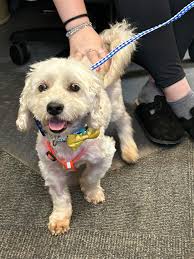 OWNER FOUND! HOPATCONG,NJ