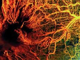 Похожее изображение