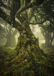 Maybe you would like to learn more about one of these? Breathtaking Images From The Landscape Photographer Of The Year Competition Bbc News