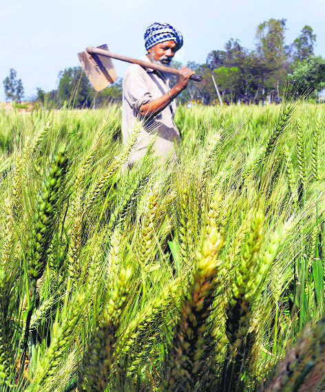 Gujarat Farmers Get Major Relief