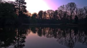 Daybreak In The Stadtgarten Of The City Of Neuss Germany Neuss Stadtgarten