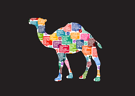 And so very strict and careful were they in this matter, that to strain at a gnat, and swallow a camel, became at length a proverb, to signify. Quotes About Camels 96 Quotes