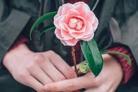 Find god's purpose for your life as it is revealed to you in scripture. How To Find God S Calling For Your Life 7 Tips To Find Your Calling