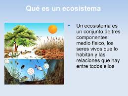 Los ecosistemas son medio ambientes de carácter biológico. Calameo Los Ecosistemas Por Saul Y Cesar