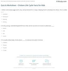 Alexander the great, isn't called great for no reason, as many know, he accomplished a lot in his short lifetime. Quiz Worksheet Chicken Life Cycle Facts For Kids Study Com