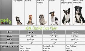 Explanatory Border Collie Size Chart Border Collie Weight