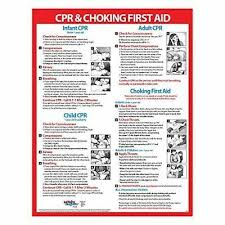 Cpr Choking First Aid Instructions Poster Infant Child And Adult Laminat Ebay