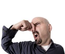 Carpet Odors Carpet Odor Remover Smelly Carpet Carpet Odors