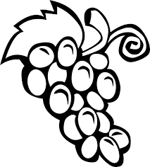 Grapes coloring pages can be useful for teachers and parents who cares about kids development coloring page resolution: Black Simple Food Fruit Wine Grapes Outline Fruits Pics For Colouring 577x640 Png Clipart Download