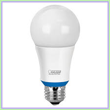 110 Reference Of Led Light Bulb Home Depot Canada In 2020 Led Light Bulb Led Fluorescent Light Led Lights