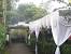 Diy Village Hall Wedding Decorations