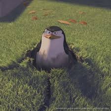 With tenor, maker of gif keyboard, add popular penguins of madagascar meme animated gifs to your conversations. Penguins Of Madagascar Meme Face