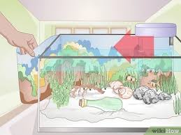 Right bottom corner without spilling the water and fish out. 11 Ways To Decorate A Fish Tank Wikihow