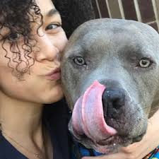 Pet Palooza Walk for the Animals