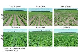 3 planting factors for best soybean yields no till farmer