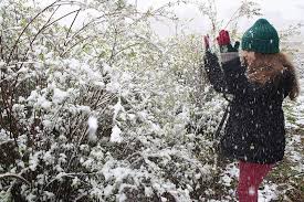 A informação foi confirmada pela epagri/ciram, órgão responsável pelo monitoramento do tempo. A Expectativa Pela Neve Na Serra Catarinense Agencia De Noticias Sao Joaquim Online