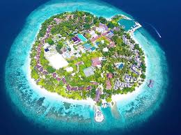 The resort opened in 1972 and offers divers the chance to swim with turtles, reef fish and macro life. Maldivity On Instagram Maldives Luxury Resorts Bandos Island Resort Spa Bmrtg Maldives Travels Maldives Luxury Resorts Island Resort Maldives Resort