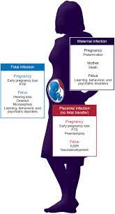 Risks Associated With Viral Infections During Pregnancy Abstract Europe Pmc