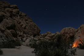 Indian cove campground is located in joshua tree national park in california. Site 64 65 Cove Picture Of Indian Cove Campground Joshua Tree National Park Tripadvisor