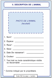 Démarches et documents de circulation pour voyager librement en europe, en chine, au japon, usa, etc. Anivetvoyage Passeport Europeen
