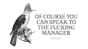 Bird Bird Bird Bird Is The Word Family Guy Effin Birds Effinbirds Twitter Effin Birds Bird Book