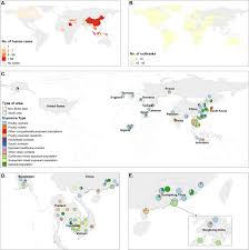 Result hongkong kamis 06 mei 2021 in 2021 mei hong kong oktober from www.pinterest.com Serological Evidence Of Human Infections With Highly Pathogenic Avian Influenza A H5n1 Virus A Systematic Review And Meta Analysis Bmc Medicine Full Text