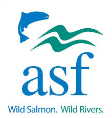 They have the authority to set objectives and guidelines, establish budgets and timelines, gather and analyze data, coordinate managers, delegate tasks, and develop strategies to optimize operations. Atlantic Salmon Federation Seeks Vp Of Finance Administration Outdoor Occupations