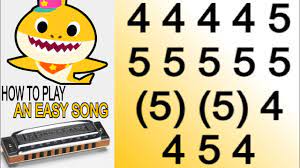 This Is Perfect For Beginners Baby Shark Harmonica C Diatonic Armonica C Blues Harp C Gaita Youtube