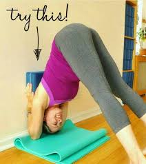 Pin By Julie On Yoga Yoga Asanas Iyengar Yoga Yoga Everyday