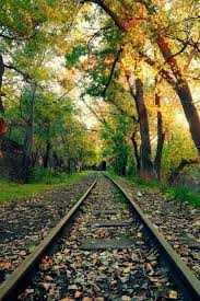 Free Download Best Nature Wallpaper Hd For Mobile For Android Apk Download 640x960 For Your Desktop Mobile Tablet Explore 64 Hd Nature Wallpapers Beautiful Nature Wallpapers Nature Wallpaper 1920x1080 Best nature hd wallpapers for mobile and desktop, android and iphone.