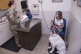Apply to call center representative, mental health technician, patient services representative and more! Jbsa Veterinarians Goal Keep Animals Healthy Joint Base San Antonio News