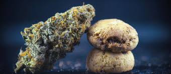 Viele von uns denken dabei an den ungeliebten chemieunterricht zurück. 5 Tipps Fur Die Zubereitung Von Marihuana Edibles Humboldt Seeds