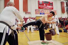 Martial Arts Mania in Sussex County