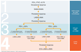 Image result for COPD Management