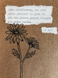 Explore more like wildflower quotes short. Wildflowers Quotes Tumblr Dogtrainingobedienceschool Com