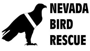 Nevada Bird Rescue Birds N Beasts Inc