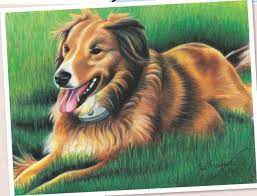 We did not find results for: Deepen The Tones In The Background And Foreground Drawing In Colored Pencil