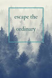 Travel Quotes Collecting Moments Instead Of Things Nature Quotes Adventure Quotes Travel Quotes Adventure