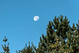 La vie m'a dit ecoute les mots que je te souffle. Pourquoi Quand Le Soleil Se Couche La Lune Prend Elle Sa Place Dans Le Ciel Rose 7 Ans Images Doc