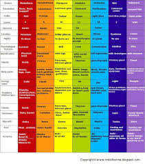 Namaste Yoga Chakra System Chart Chakra Chakra System