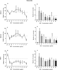 When a neutrophil encounters a pathogen, it can respond in several ways: Neutrophil Extracellular Traps Possess Anti Human Respiratory Syncytial Virus Activity Possible Interaction With The Viral F Protein Sciencedirect
