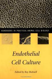 Over the course of five editions, the ways in which biology is taught have dramatically changed. Buy Endothelial Cell Culture Handbooks In Practical Animal Cell Biology Book Online At Low Prices In India Endothelial Cell Culture Handbooks In Practical Animal Cell Biology Reviews Ratings Amazon In